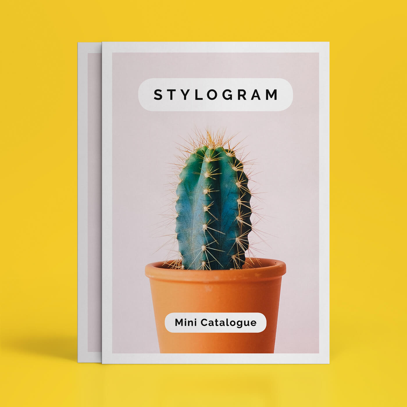 Stylogram Accordion Brochure